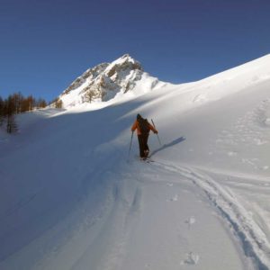 14-fuori-dal-bosco-e-testa-darp